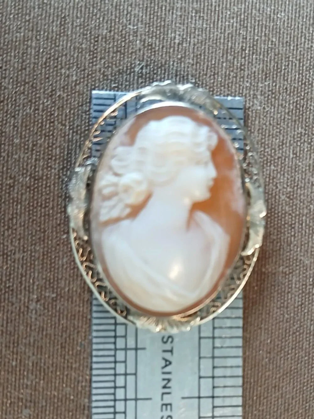 Art Deco 10K White Gold Cameo Brooch: Vintage Conch Shell Filigree Pin